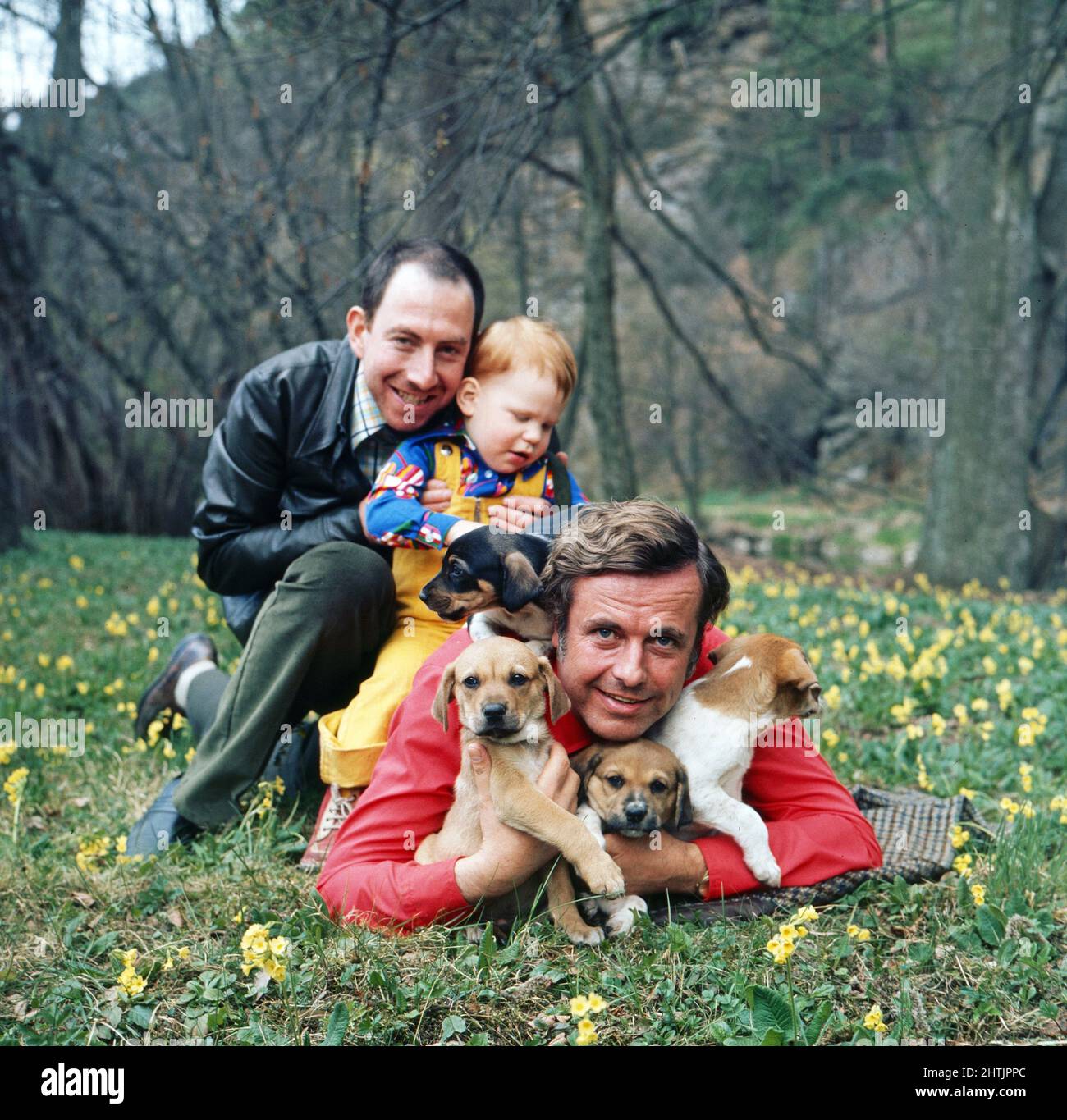 Eins plus Eins gegen Zwei, Spielshow, Deutschland 1971 - 1976, Sendung vom 27. April 1975, Stargast: Schauspieler Joachim Hansen (rotes Hemd) und Schauspielerkollege Bruno Thost samt dessen Tochter Katja mit Welpen. Stock Photo