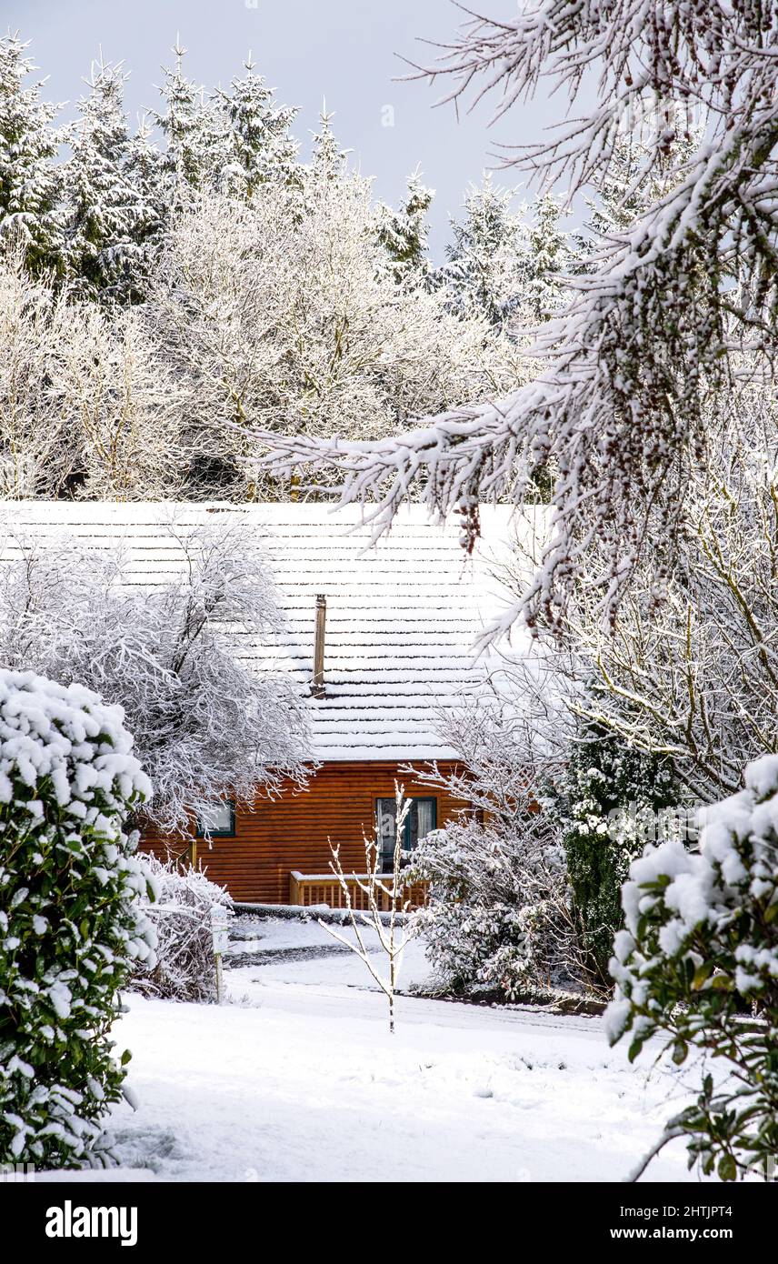 Beautiful sunny day in the winter with view on the log cabin Stock ...