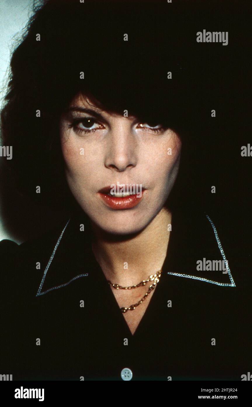 Dani, Sängerin, Deutschland um 1974. Stock Photo