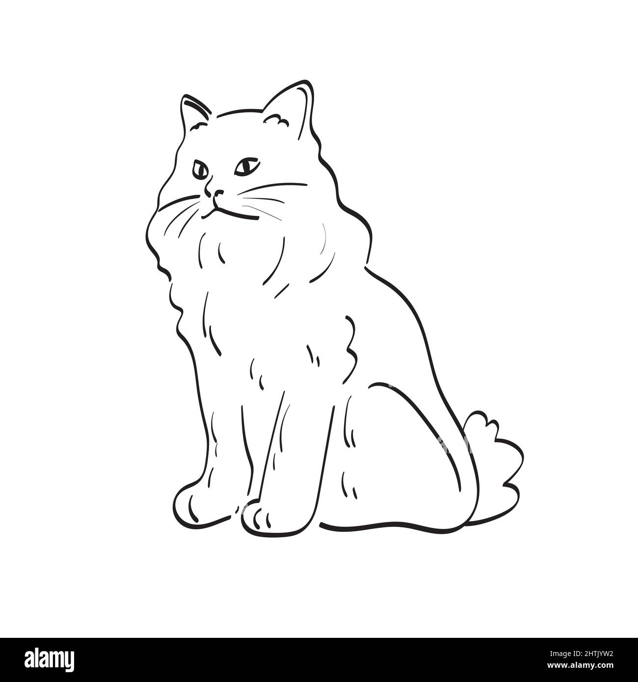 cat illustration vector hand drawn isolated on white background line ...