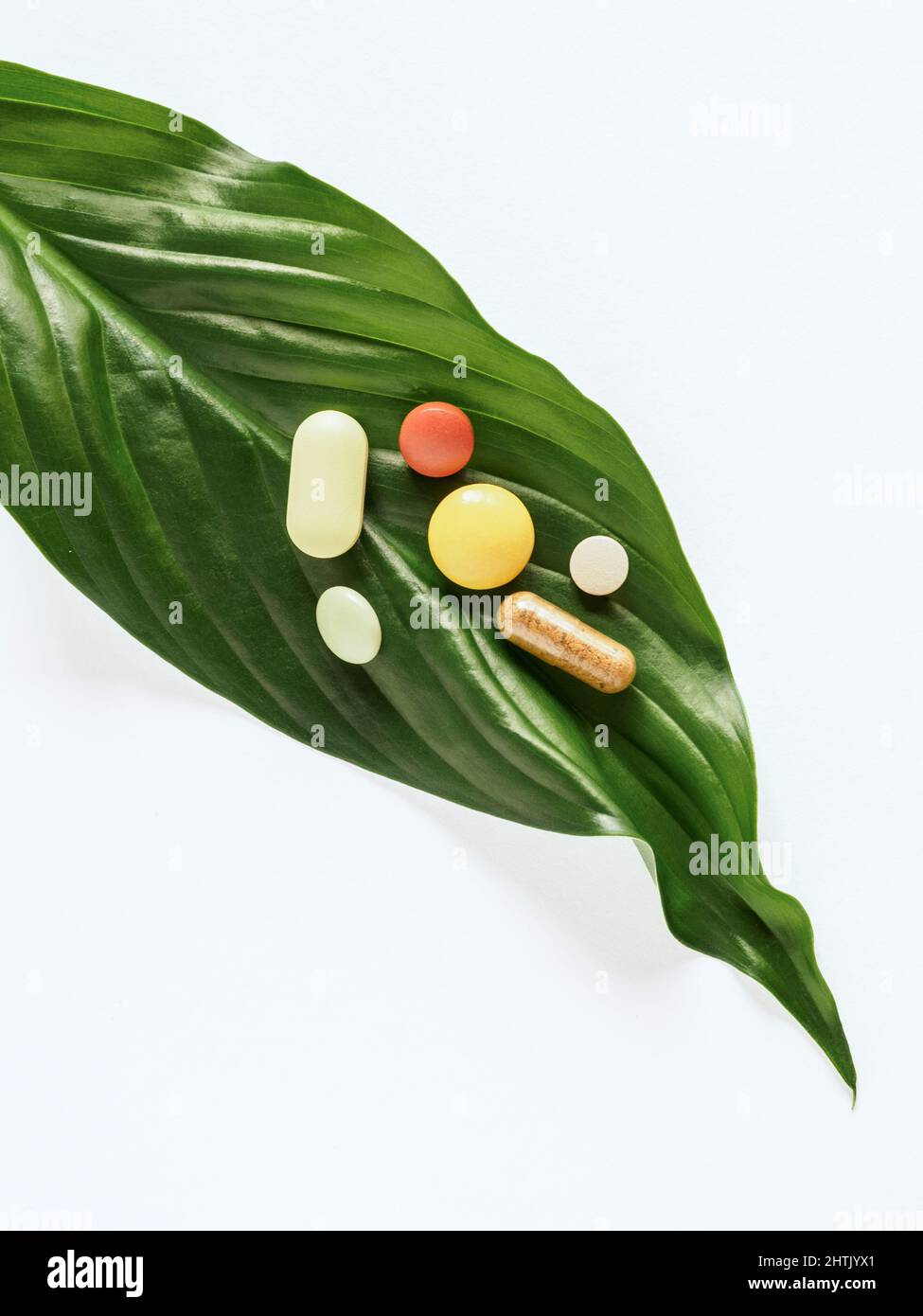 Fresh green leaf of various colorful pills and capsules isolated on white background. Vertical view. Stock Photo