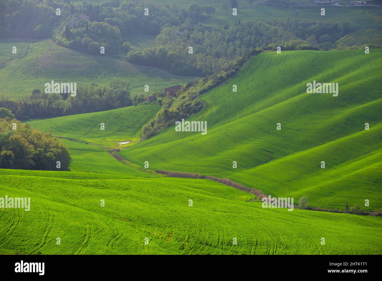 Orcia Valle, green rolling landscape in Tuscany, Italy Stock Photo