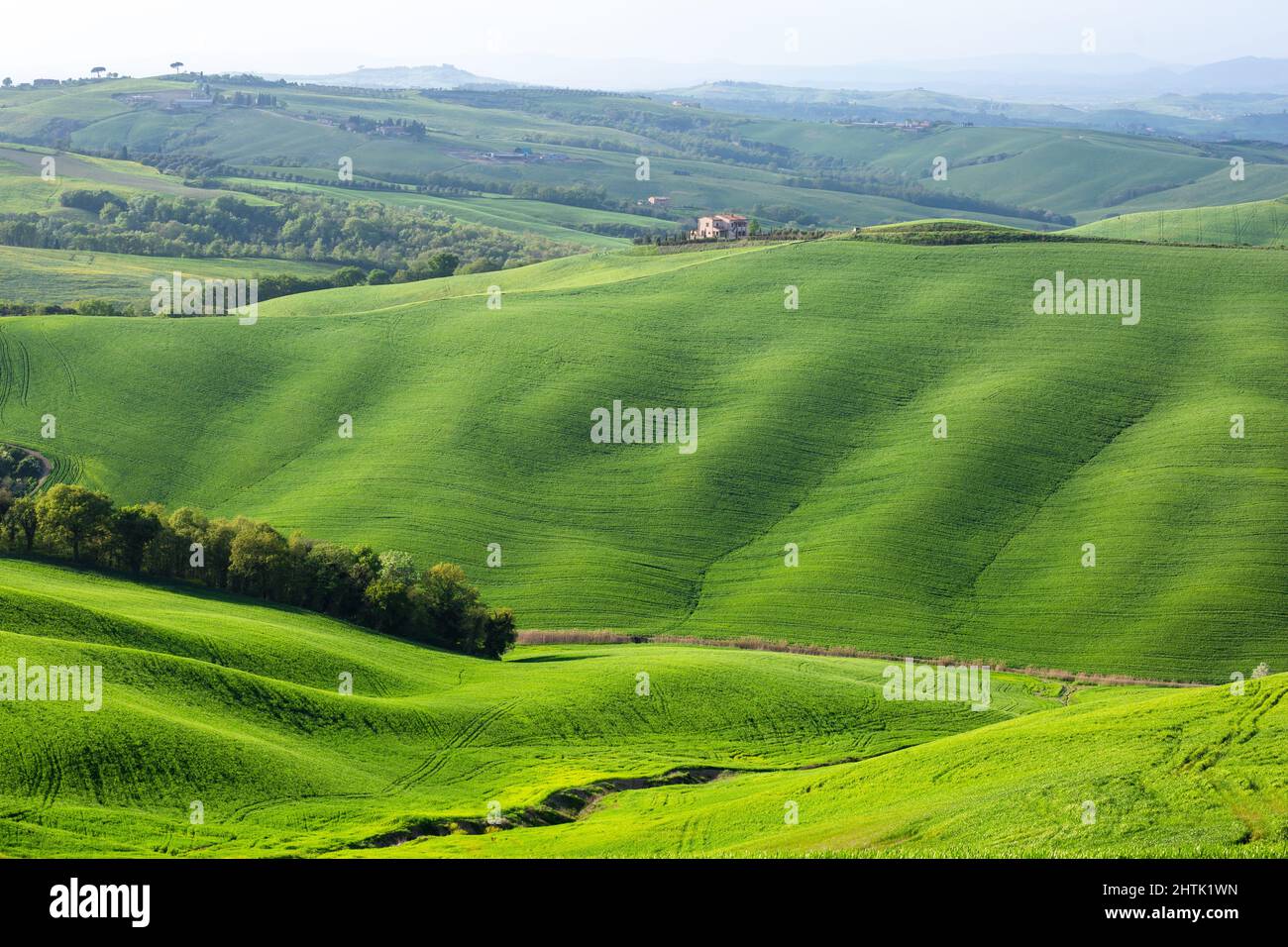 Orcia Valle, green rolling landscape in Tuscany, Italy Stock Photo