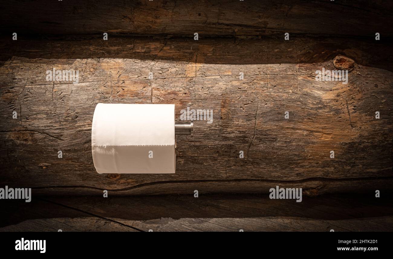 Toilet paper roll on holder against rustic wooden wall. Stock Photo