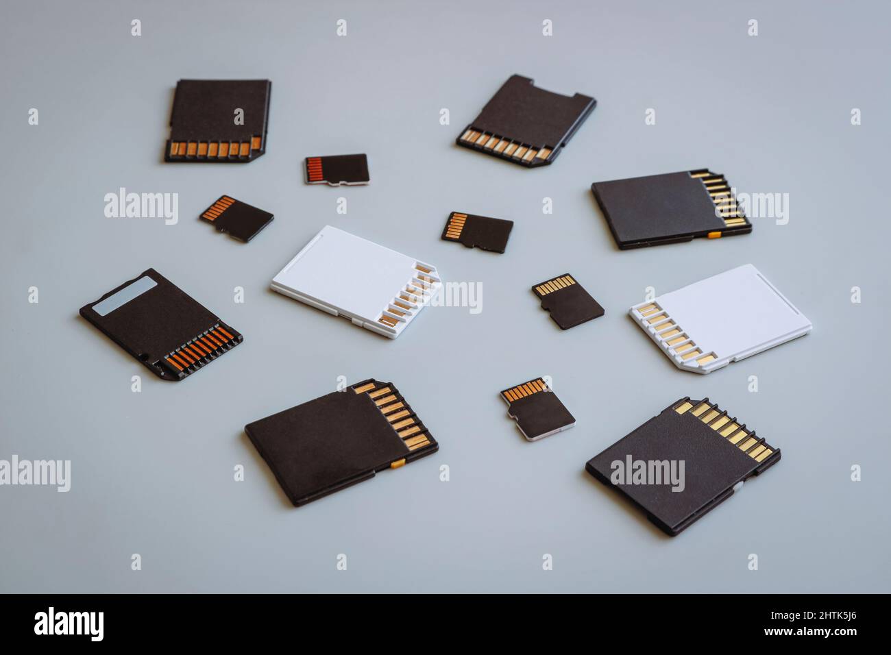 SD and MicroSD memory cards on a neutral gray background. Stock Photo