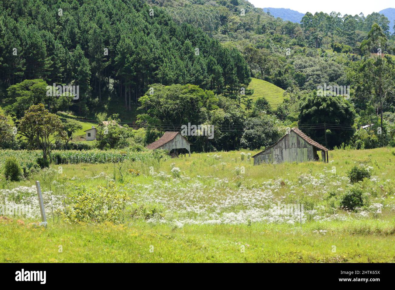 Typical scenario of the rural area of the interior of Santa Catarina. Stock Photo