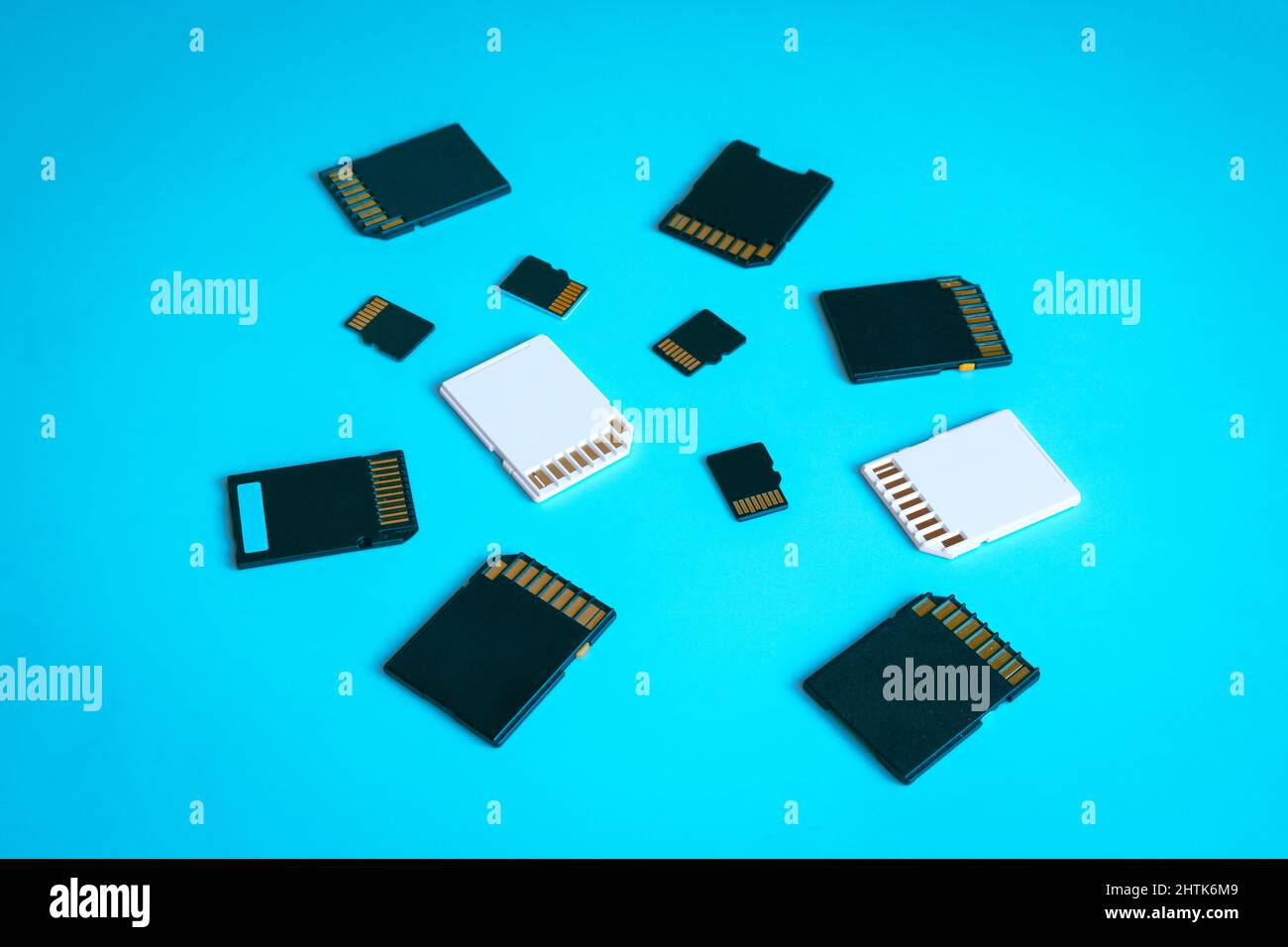 SD and MicroSD memory cards on a blue background. Stock Photo