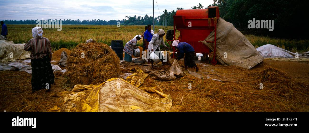 Kerala India Rice Harvest Thresher Machine Stock Photo