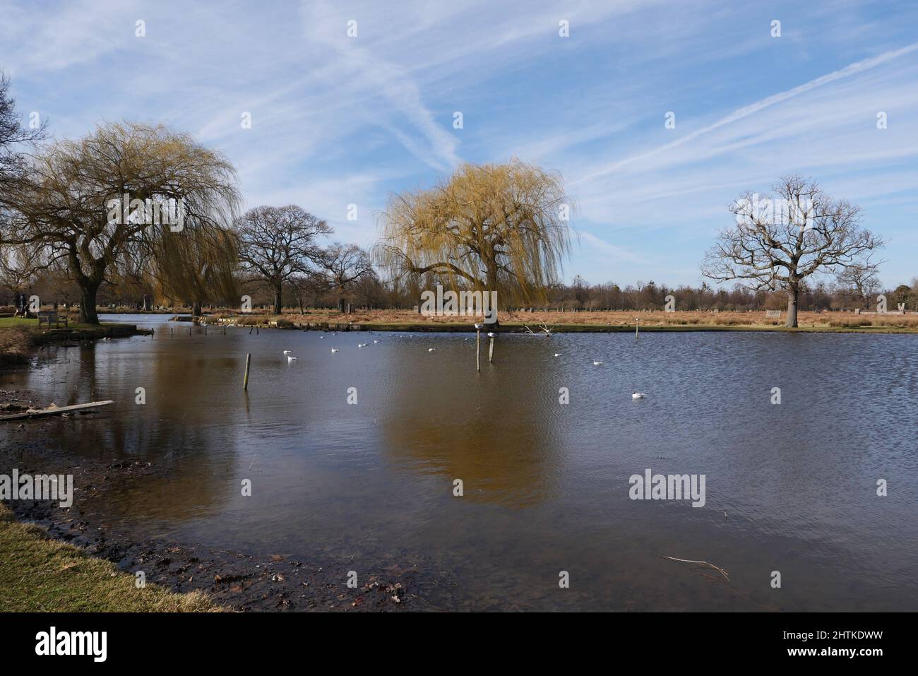 Bushy Park’s landscape is a patchwork quilt of English history spanning a millennium: you can see the remains of medieval farming systems, the legacy of a Tudor deer park, 17th century water gardens and decorative features representing the height of neoclassical taste, and traces of military camps that played remarkable roles in the World Wars. Stock Photo