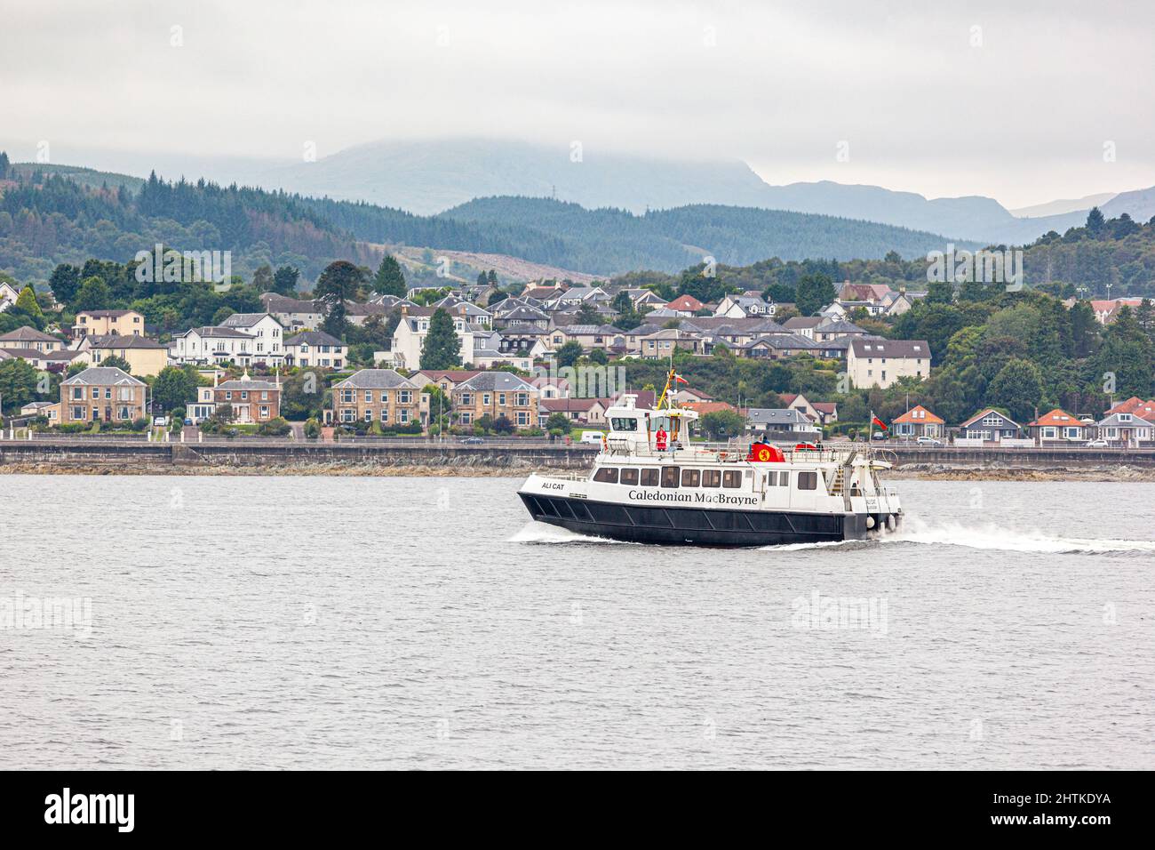 The Caledonian MacBrayne ferry Ali Cat on the Dunoon to Gourock route in the Firth Of Clyde, Argyll & Bute, Scotland UK Stock Photo