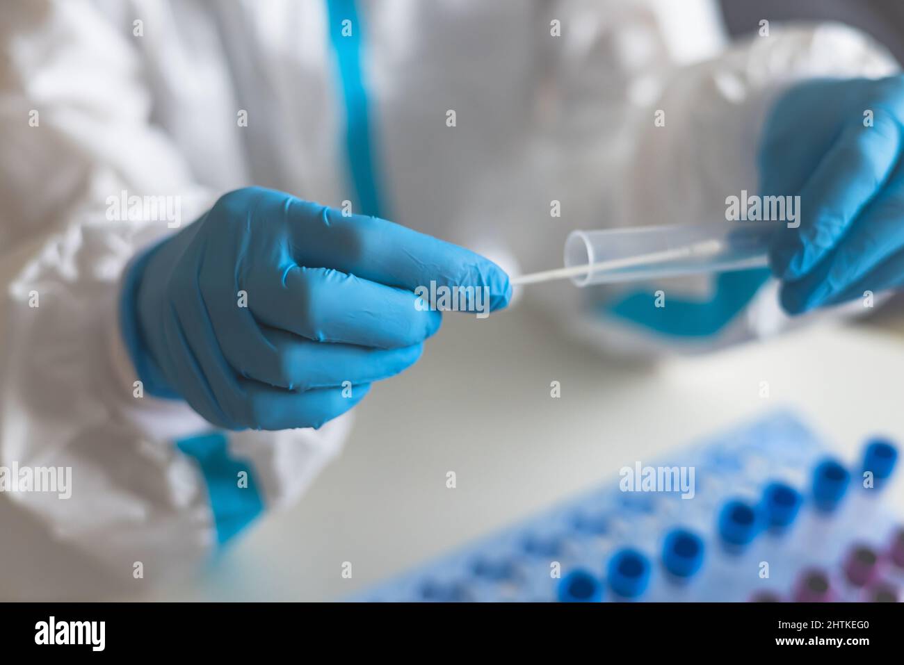 Process of coronavirus PCR antigen testing examination by nurse medic ...