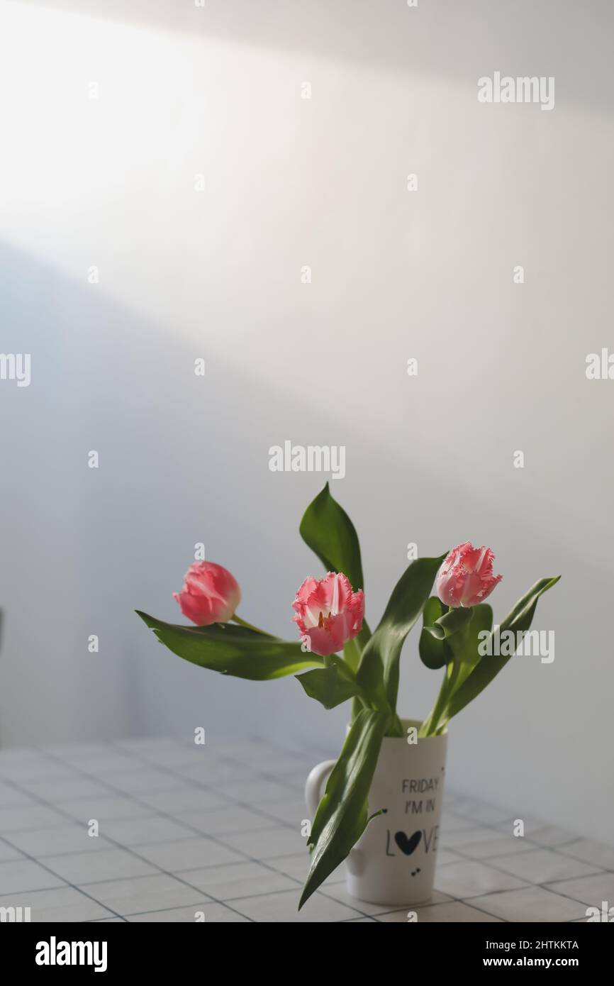 fresh pink tulips isolated on a white background Stock Photo - Alamy