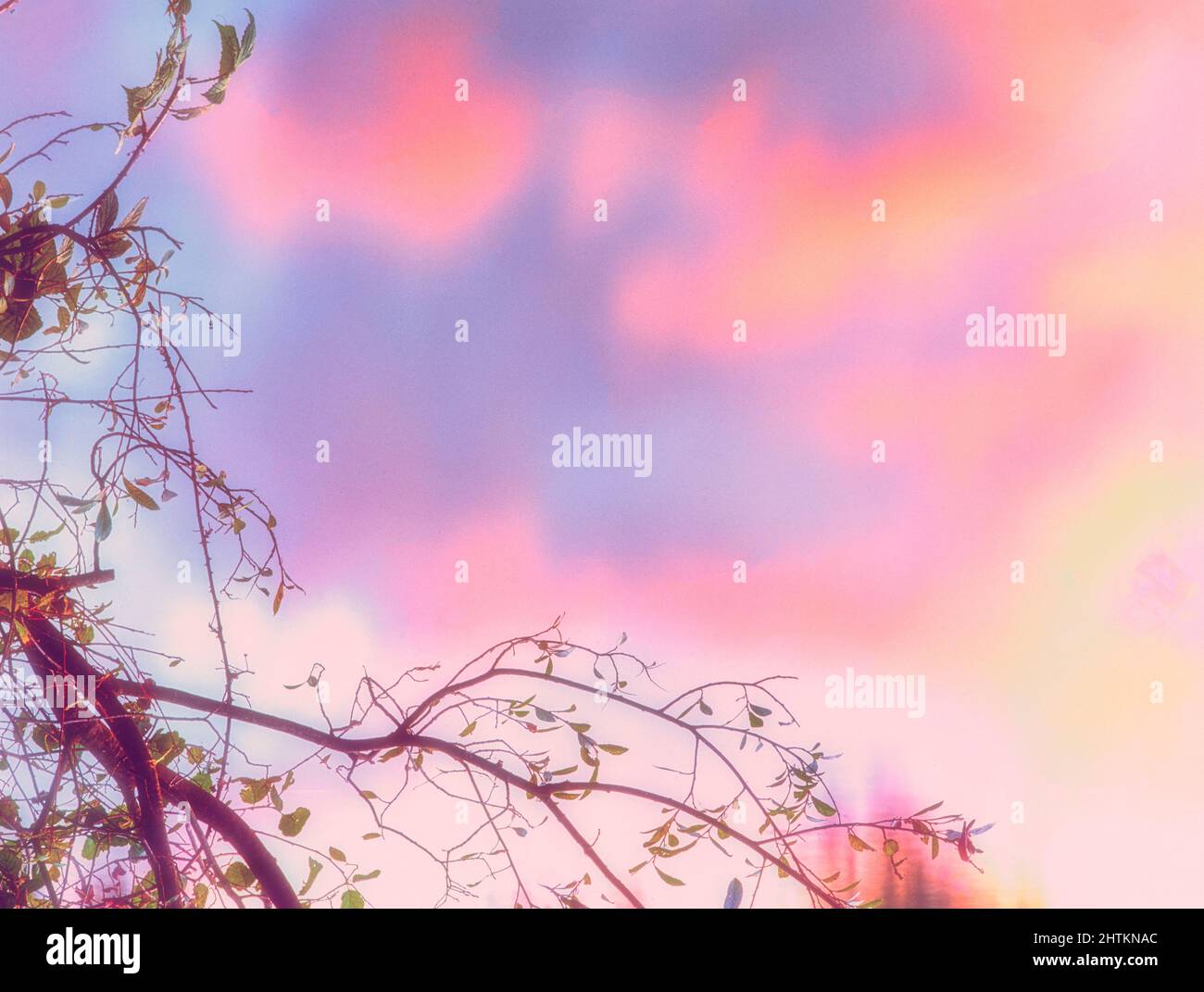 Natural patterns and textures in the environment, intimate landscape ...