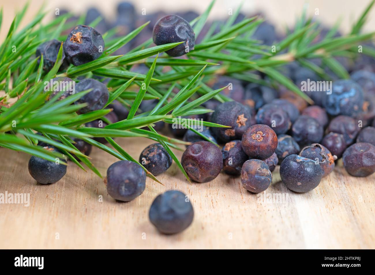 Juniper dried hires stock photography and images Alamy