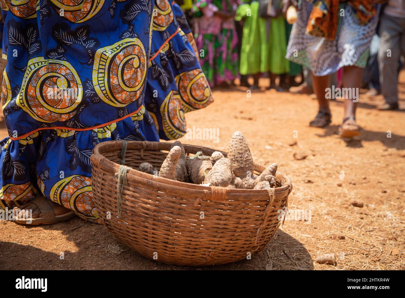 Close-up of a basket containing Yam, a tuber, at a celebration in Cameroon, Africa Stock Photo