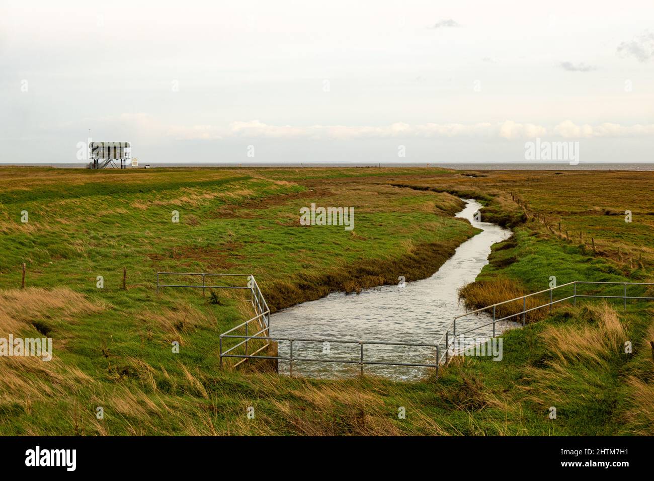Land drainage outfall of saltmarsh in Friskney, Lincolnshire, England