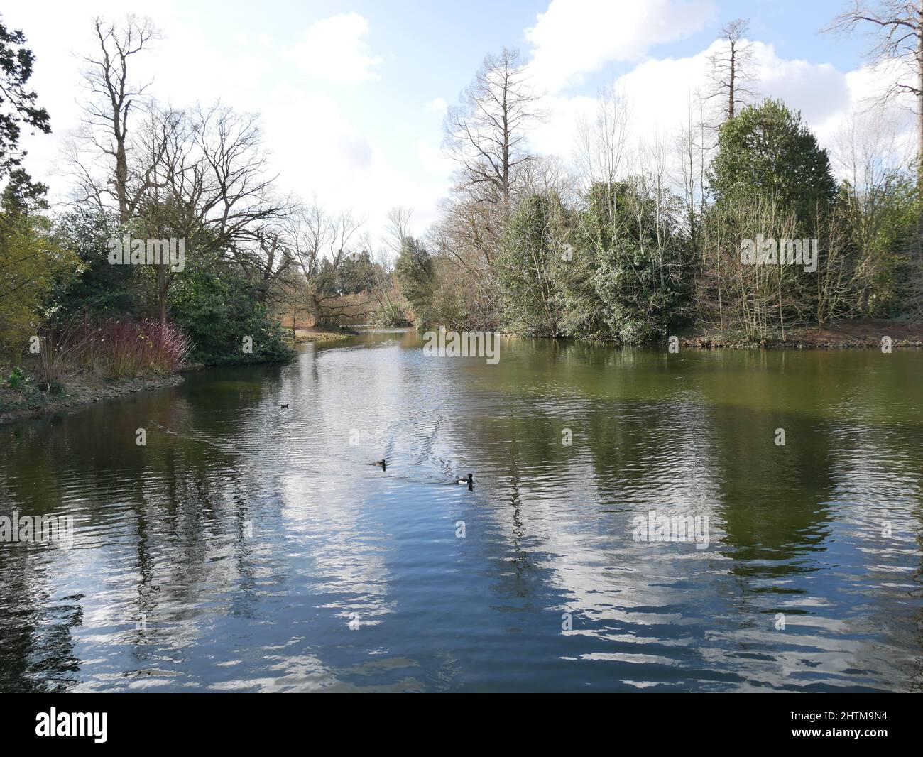 Kew Gardens, Surrey Stock Photo Alamy