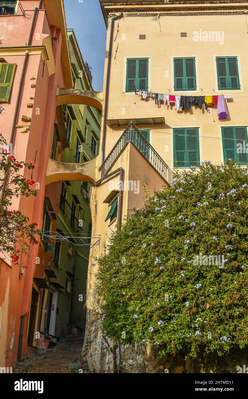 Typical colored houses of the medieval district called 'La Pigna' in the old town of Sanremo, Imperia, Liguria, Italy Stock Photo