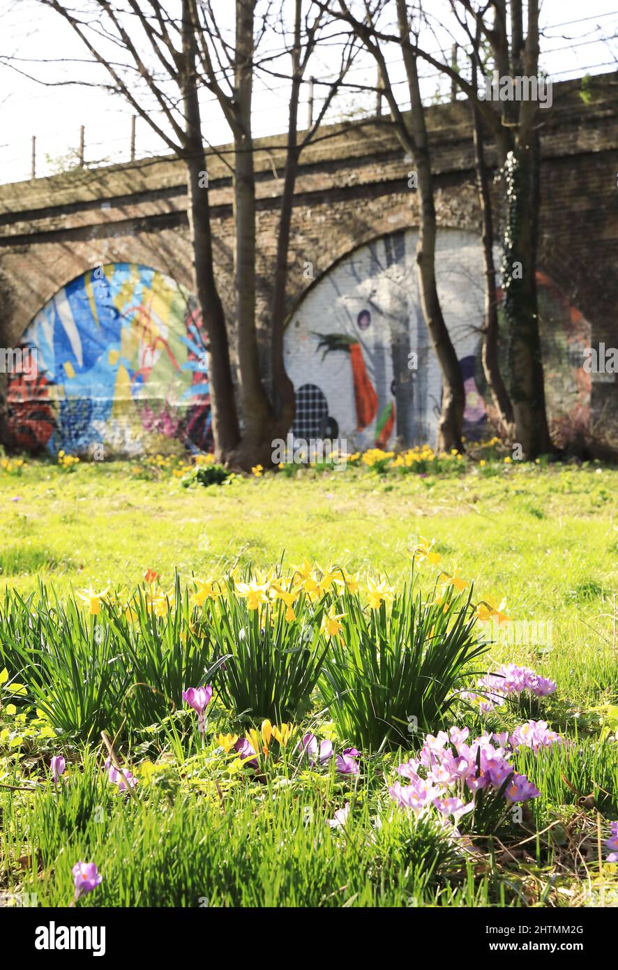 Ackroyd Drive Green Link, east London's only chalk meadow, with spring
