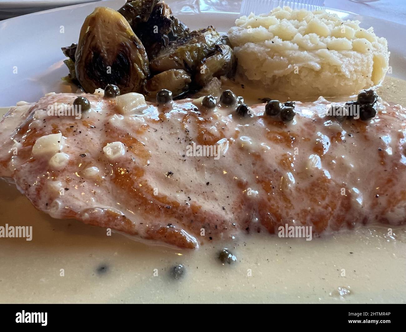 Salmon with cream sauce at Mezzaluna by the Sea, an Italian cuisine