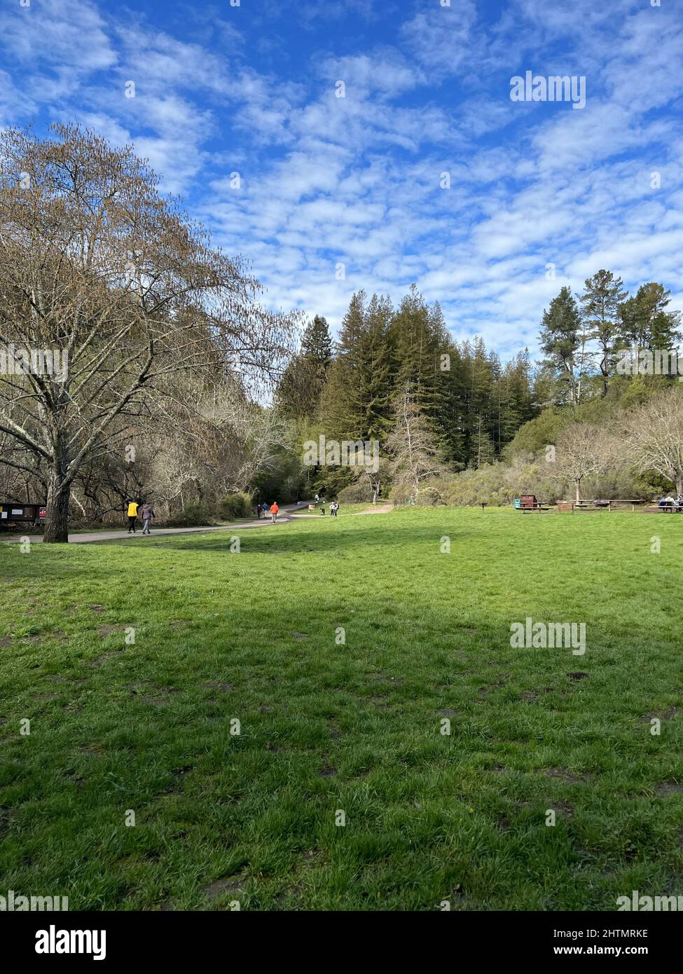 Canyon Meadows staging area at Redwoods Regional Park, Oakland 