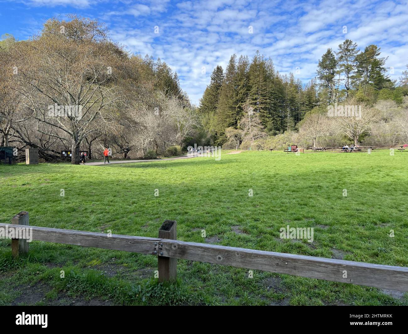 Canyon Meadows staging area at Redwoods Regional Park, Oakland 