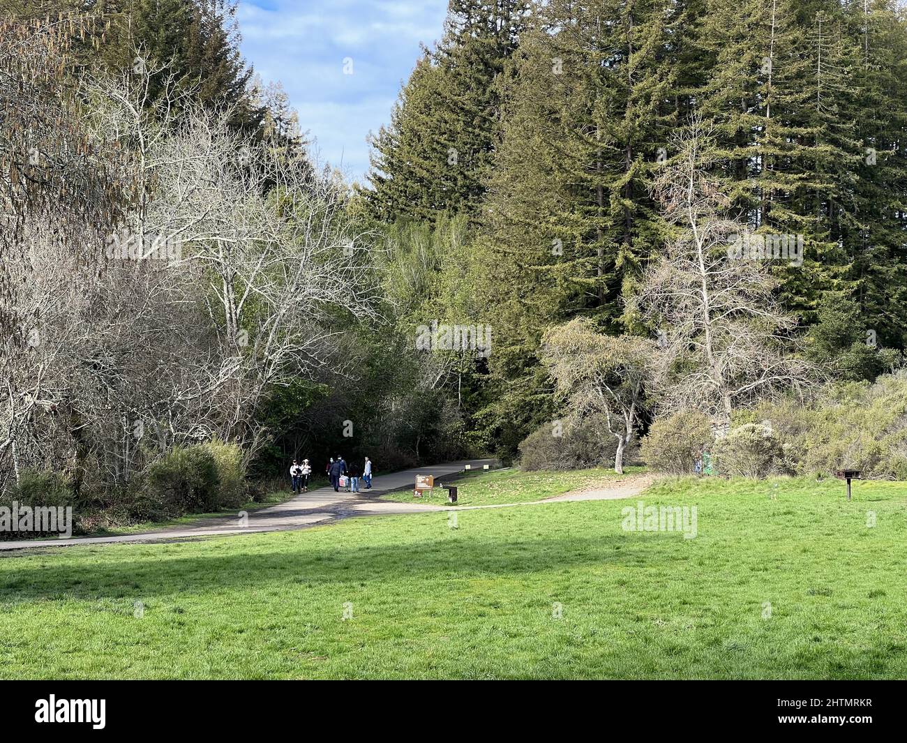 Canyon Meadows staging area at Redwoods Regional Park, Oakland 