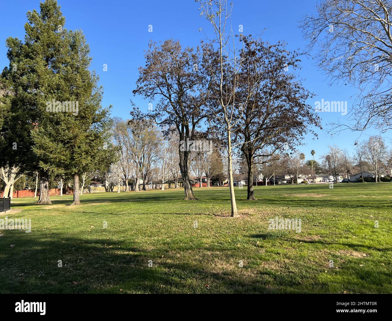 Open fields at Hansen Park, a community park in Pleasanton, California