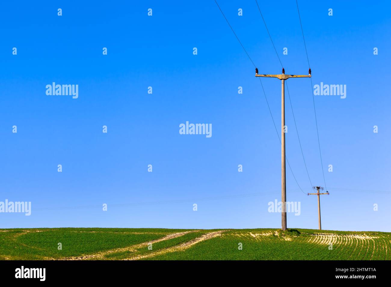 Simple overhead transmission line poles on agricultural field, way lead to horizon (copy space) Stock Photo