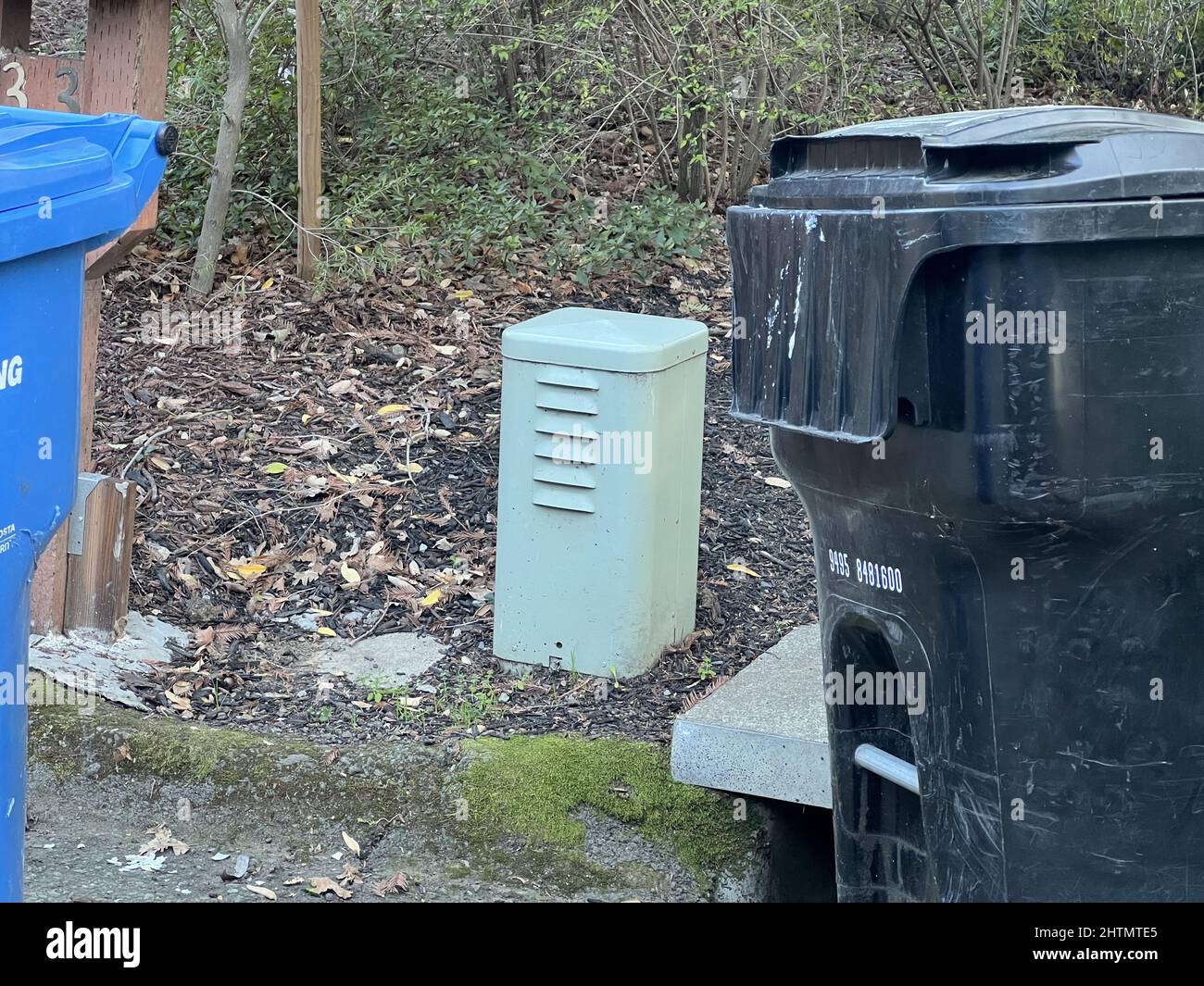 Green colored electrical junction box in front yard of a home in