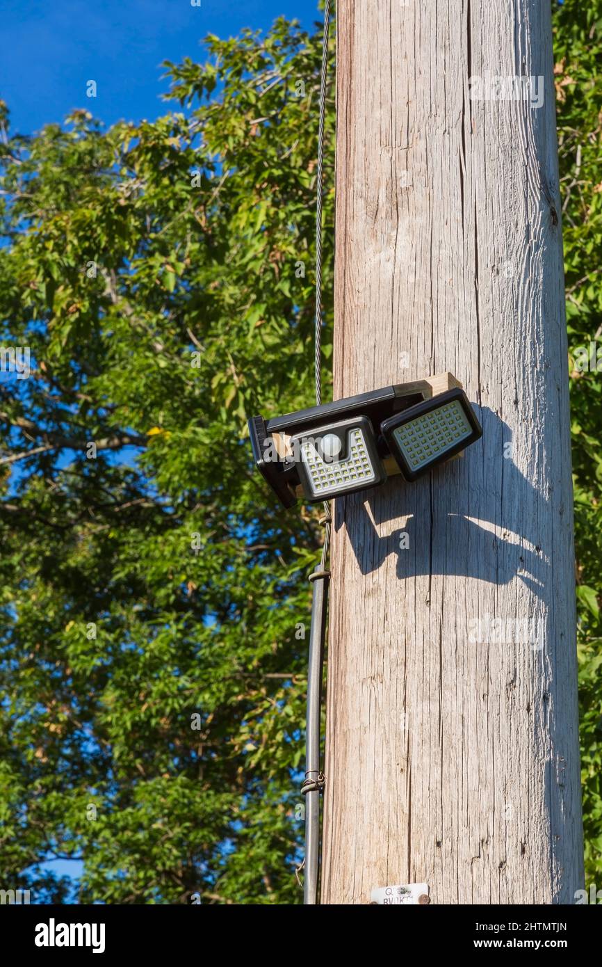 Solar powered motion activated security light on telephone pole in