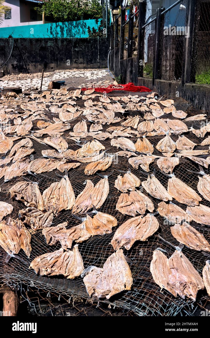 Fish drying near the pier, Livingston, Guatemala Stock Photo