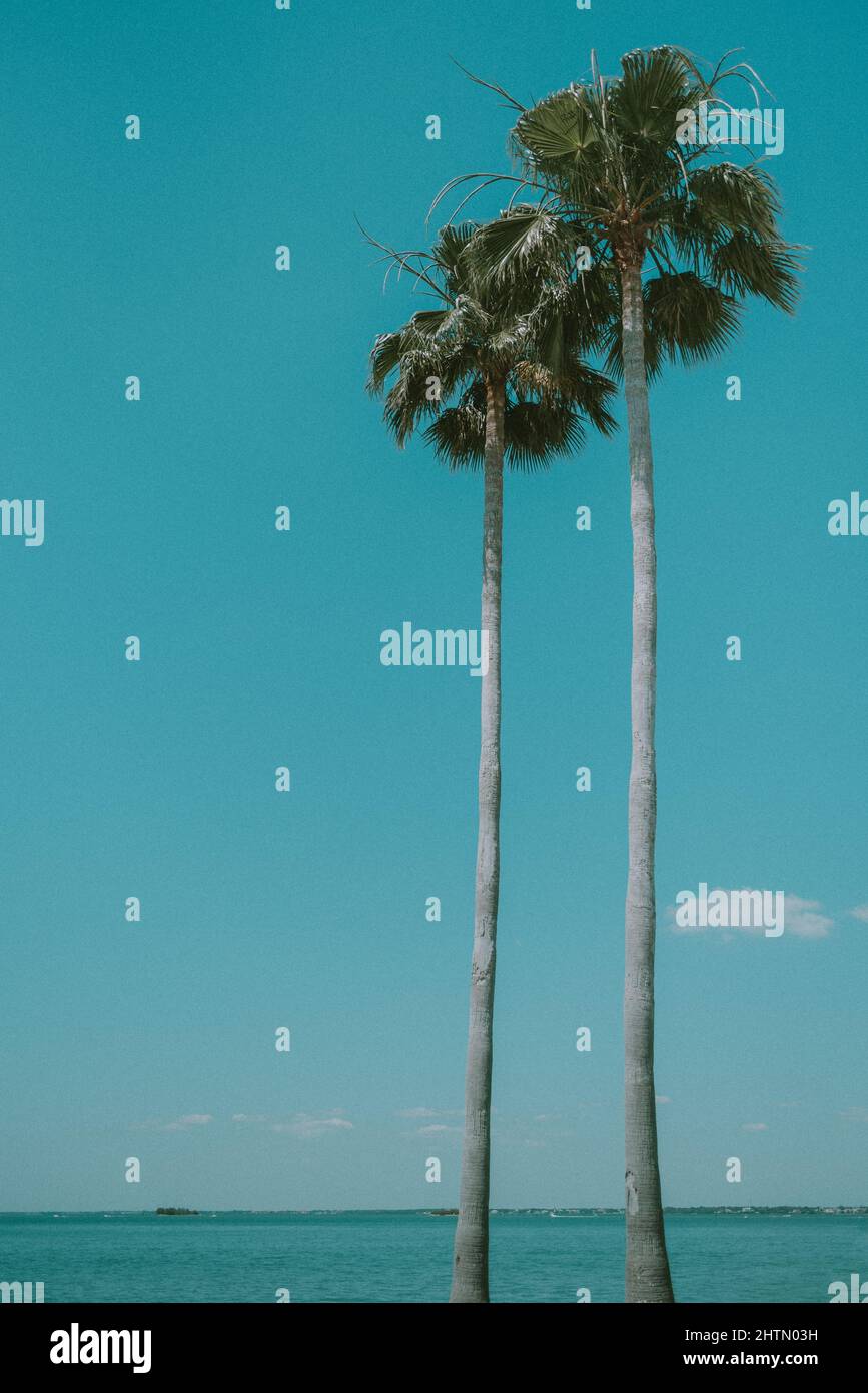 stand tall together Stock Photo Alamy