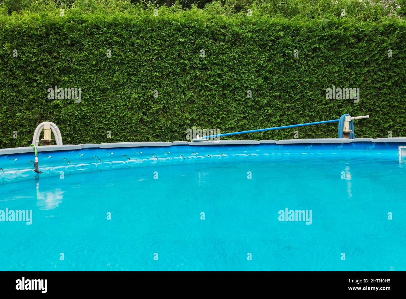Above ground swimming pool in residential backyard protected by a Thuja occidentalis - Cedar tree hedge in summer. Stock Photo
