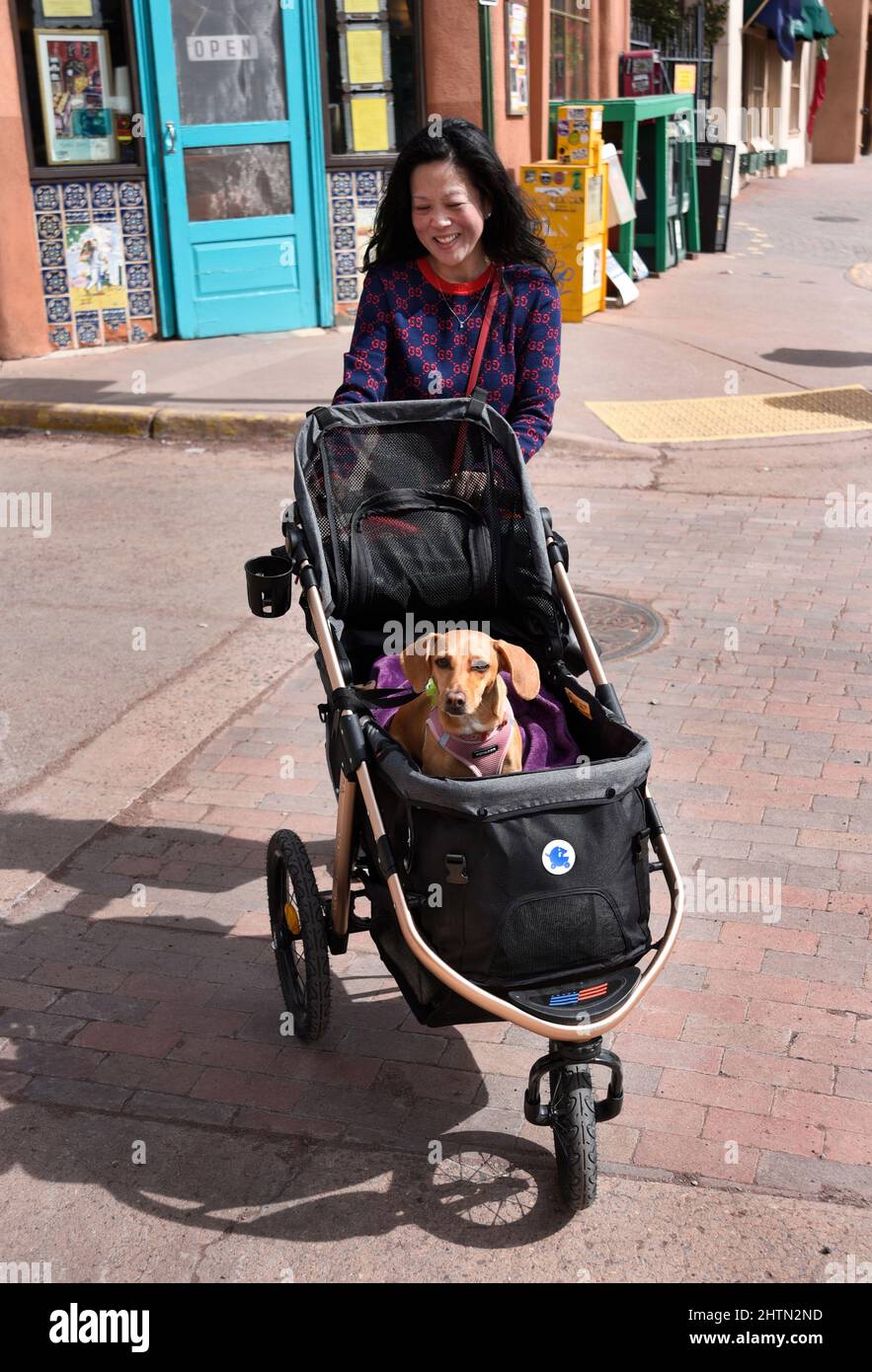 A woman visiting Santa Fe, New Mexico, pushes her pet dog in an HPZ Pet Rover brand stroller. Stock Photo