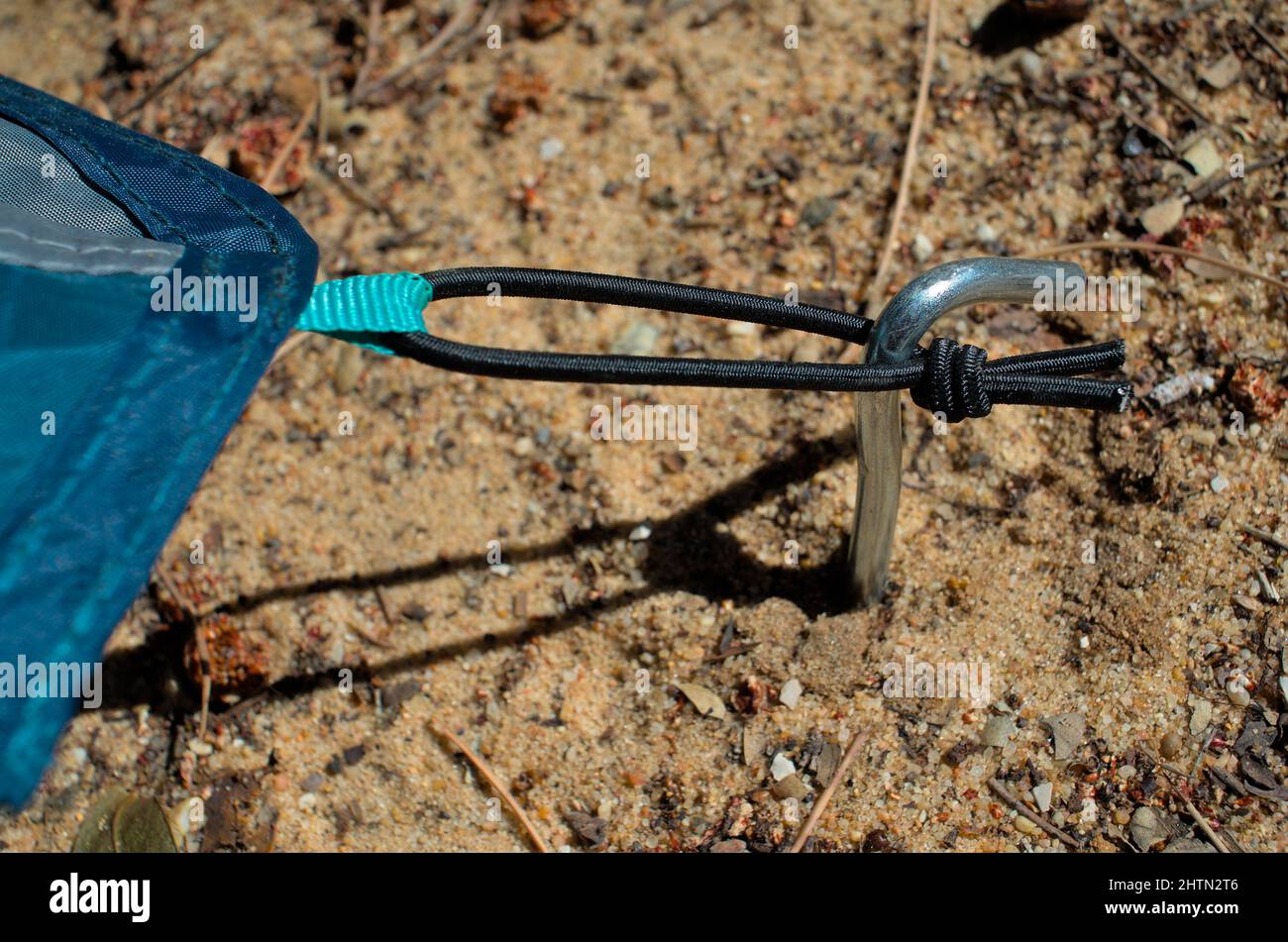 Tent peg fixed on the ground. Camping and outdoors Stock Photo Alamy