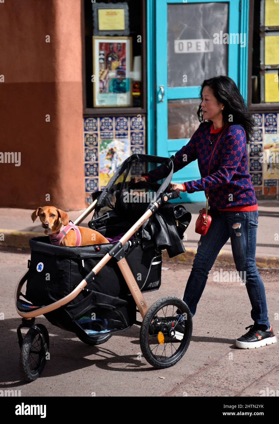A woman visiting Santa Fe, New Mexico, pushes her pet dog in an HPZ Pet Rover brand stroller. Stock Photo