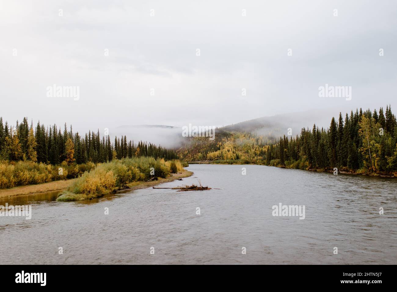 Canada, Yukon, Whitehorse, River and forest on cloudy and foggy day Stock Photo