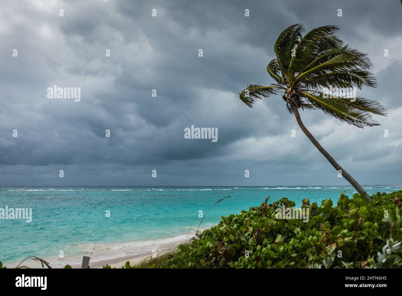 Windy day on beach at Elbow Cay at Hope Town Bahamas in the Abaco Islands. Stock Photo