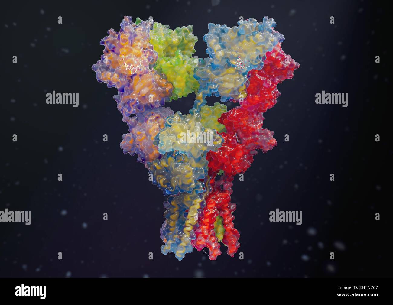 AMPA receptor, illustration Stock Photo Alamy