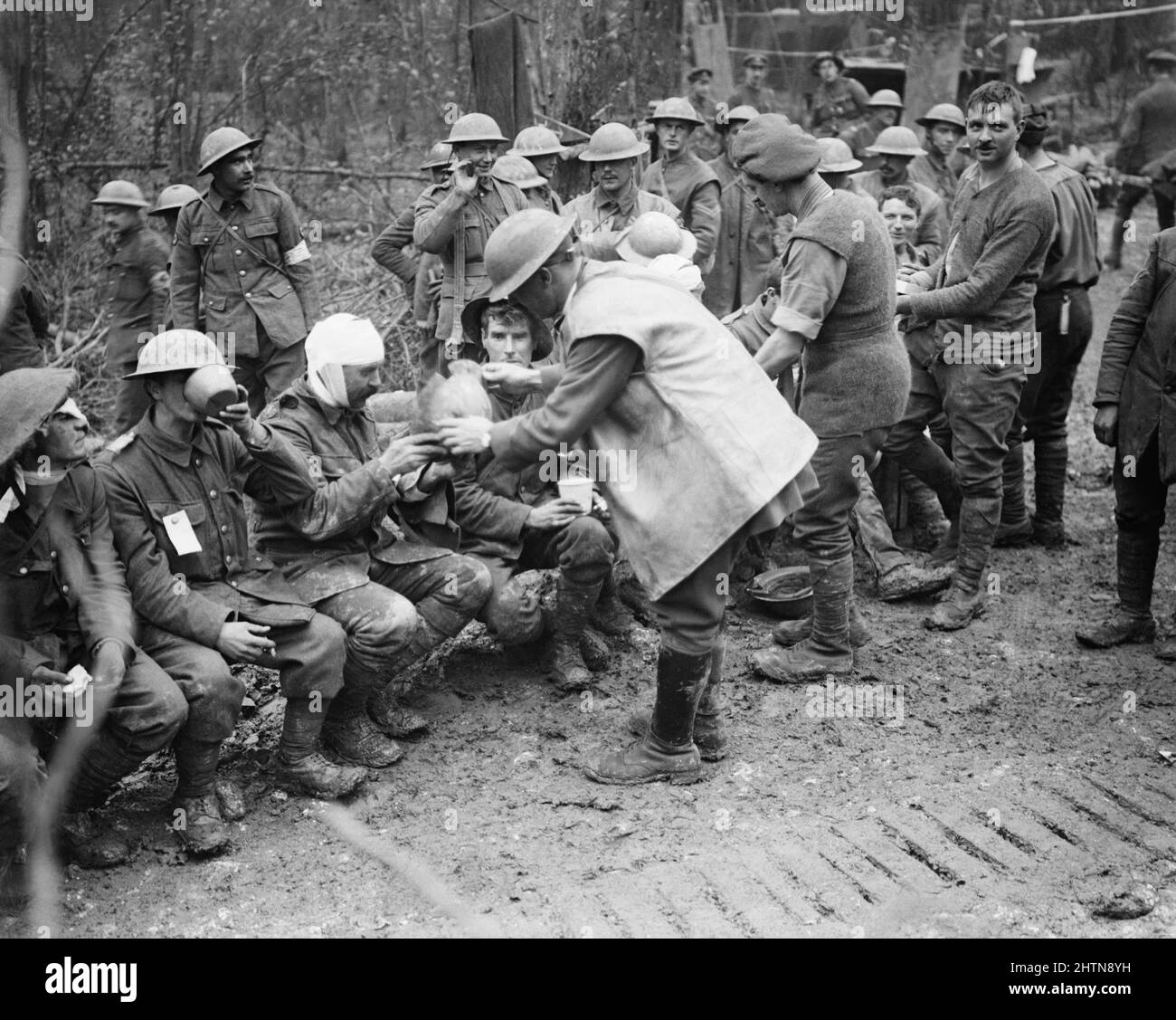 Battle of the Ancre 13 - 18 November 1916: Wounded British troops at a Dressing Station in Aveluy Wood. One man shows damage to his steel helmet from which he suffered a head wound. 13 November 1916 during the Battle of the Somme Stock Photo