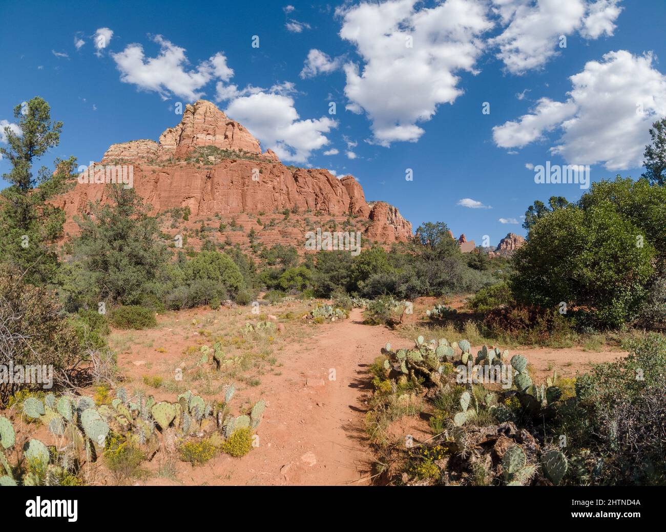Dirt hiking path going through the desert leading to a large rock formation. Stock Photo