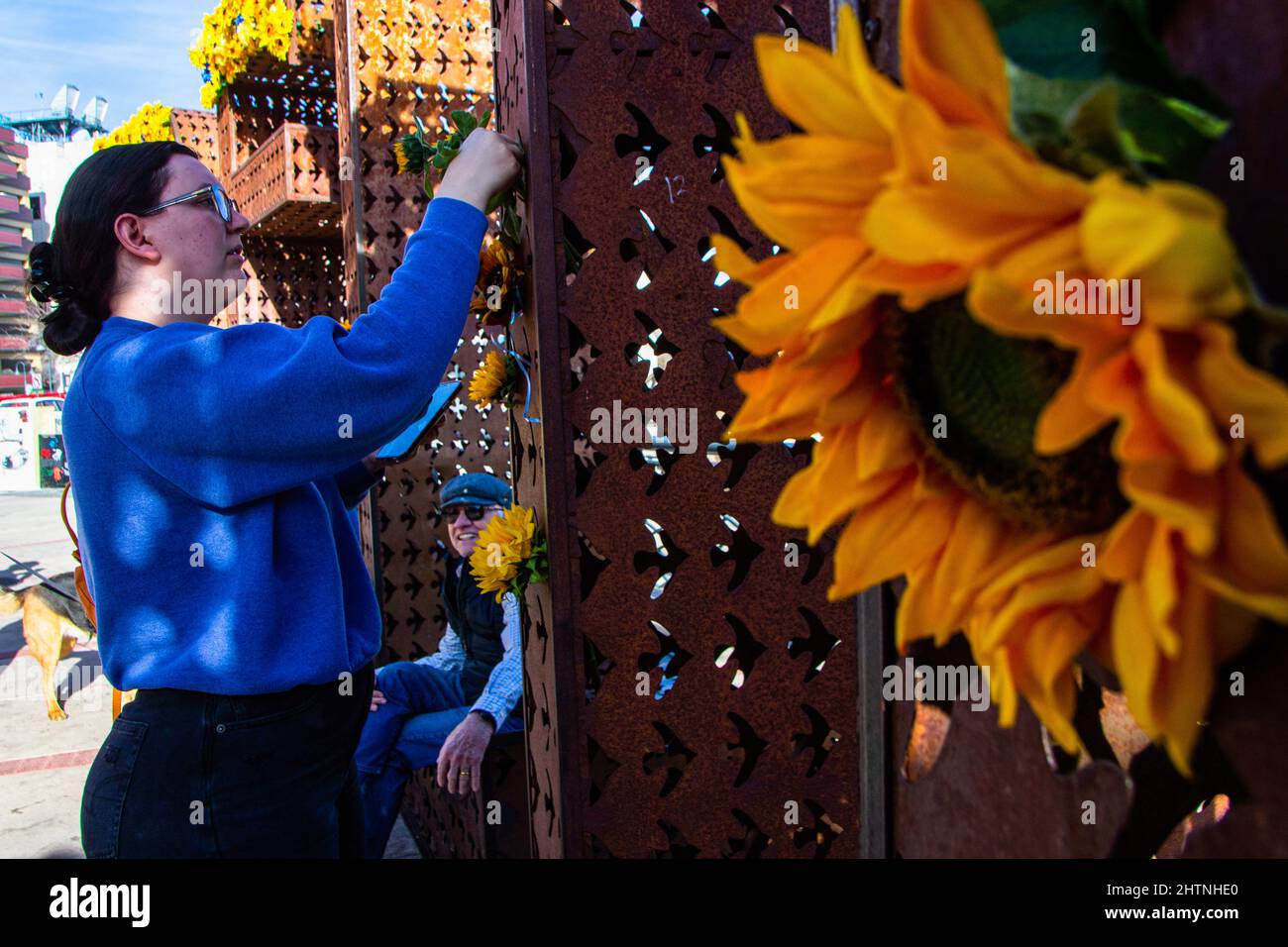 Reno, United States. 01st Mar, 2022. People placing sunflowers at the city plaza. Locals gathered in the City plaza to add sunflowers to a sculpture and voice their support for Ukraine. Credit: SOPA Images Limited/Alamy Live News Stock Photo