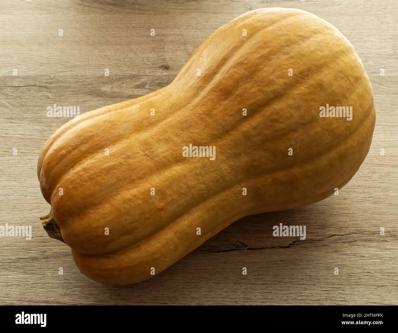 Butternut squash isolated on wooden background. Stock Photo