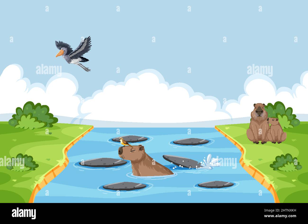Wild animals by the river illustration Stock Vector Image & Art - Alamy