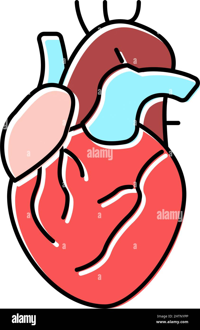 heart human organ color icon vector illustration Stock Vector Image ...