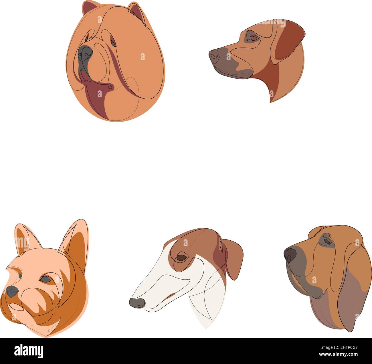 Breeds of dogs drawn in minimal style set. One line dogs. Vector ...