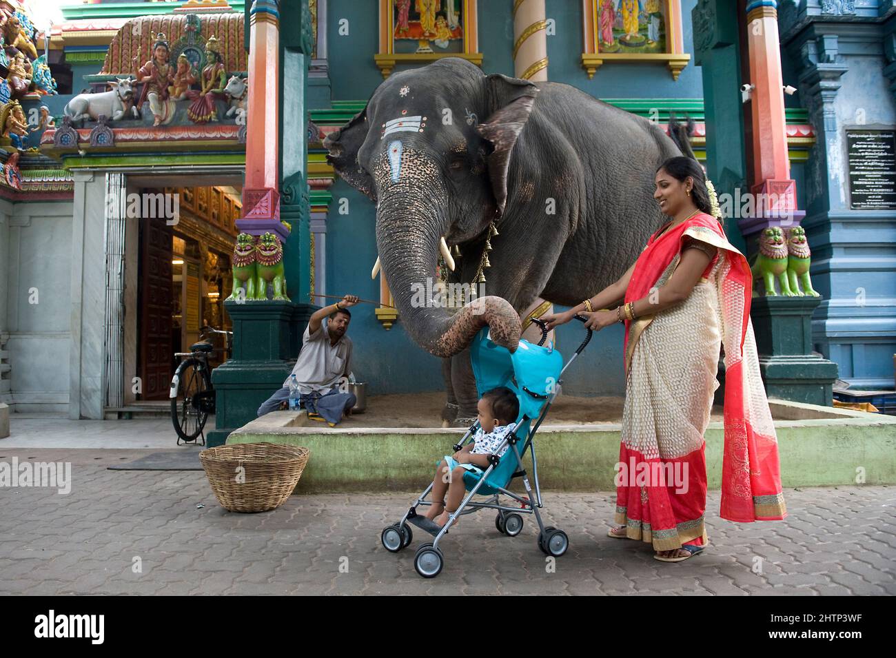 PONDICHERRY, India July 2016 The elephant Lakshmi at the Manakula