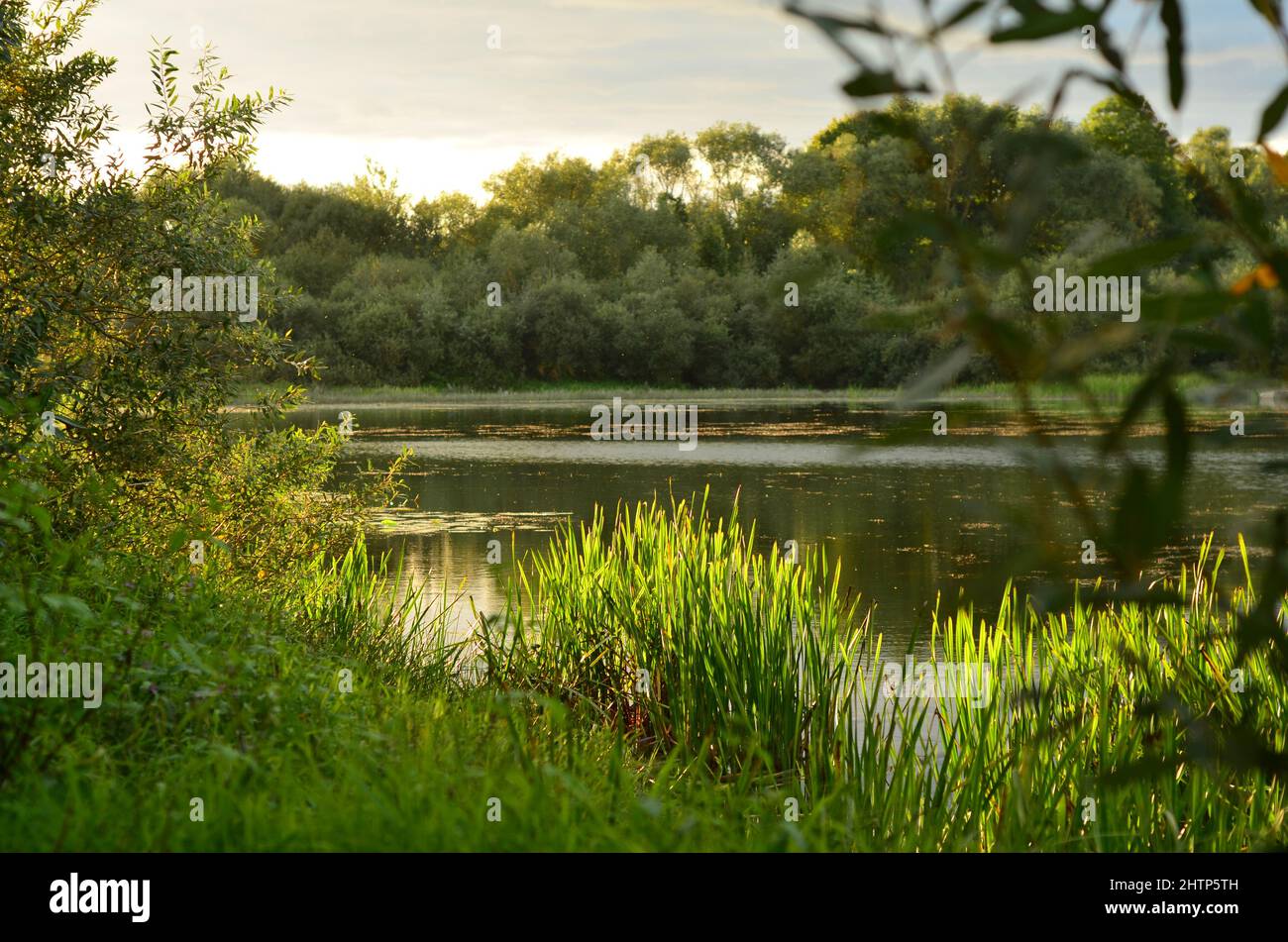 Ein Baggersee im Abendlicht Stock Photo