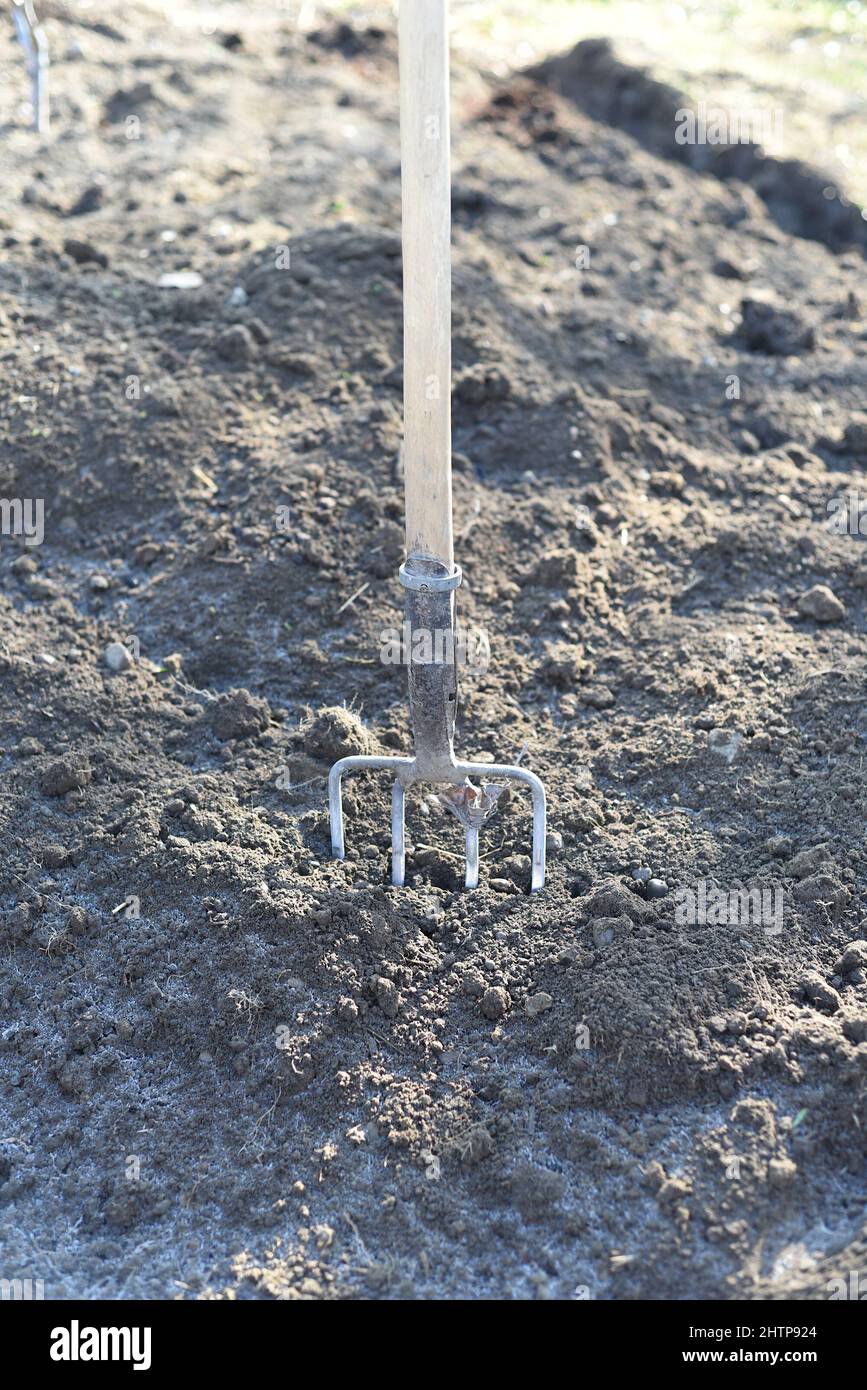 Old rusty shovel stuck ground hi-res stock photography and images - Alamy